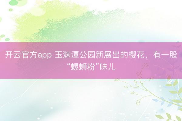 开云官方app 玉渊潭公园新展出的樱花，有一股“螺蛳粉”味儿