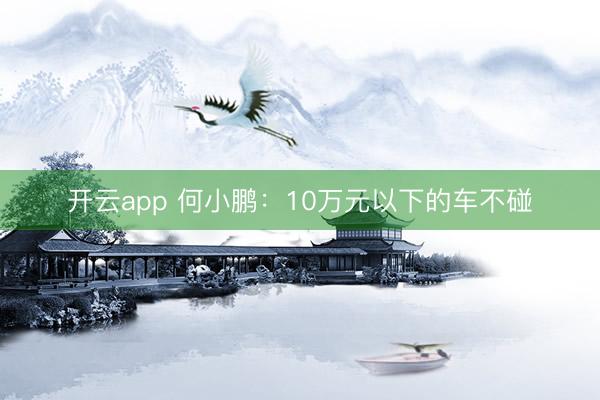 开云app 何小鹏：10万元以下的车不碰