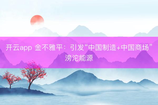 开云app 金不雅平：引发“中国制造+中国商场”滂沱能源