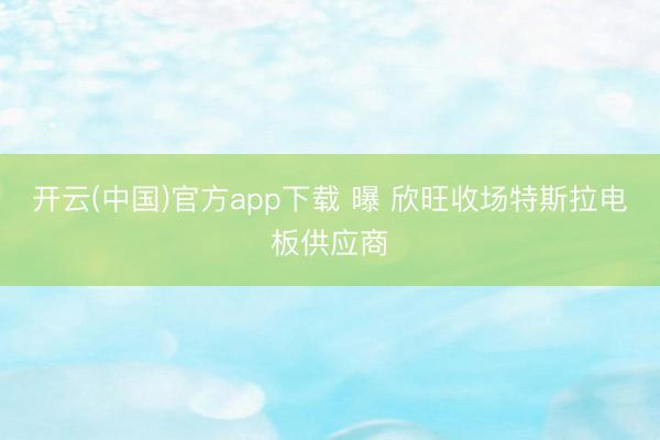 开云(中国)官方app下载 曝 欣旺收场特斯拉电板供应商