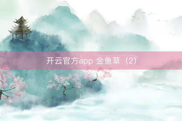开云官方app 金鱼草（2）